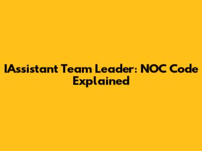 IAssistant Team Leader: NOC Code Explained