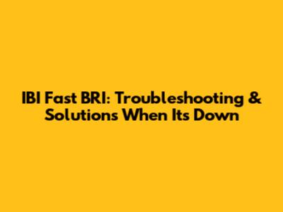 IBI Fast BRI: Troubleshooting & Solutions When It's Down