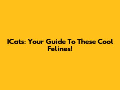 ICats: Your Guide To These Cool Felines!