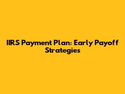 IIRS Payment Plan: Early Payoff Strategies