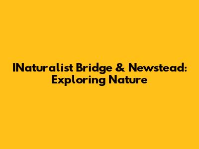 INaturalist Bridge & Newstead: Exploring Nature