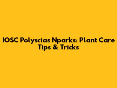 IOSC Polyscias Nparks: Plant Care Tips & Tricks