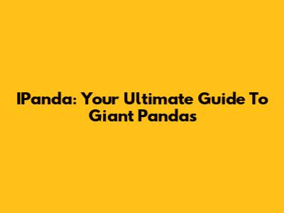 IPanda: Your Ultimate Guide To Giant Pandas