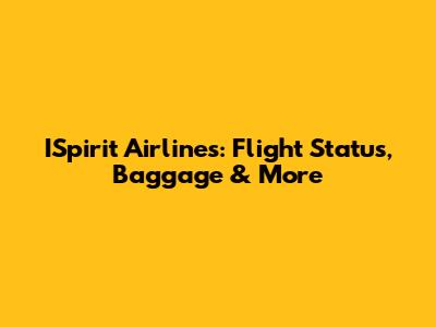 ISpirit Airlines: Flight Status, Baggage & More