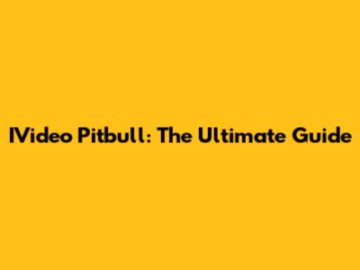 IVideo Pitbull: The Ultimate Guide