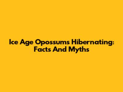 Ice Age Opossums Hibernating: Facts And Myths