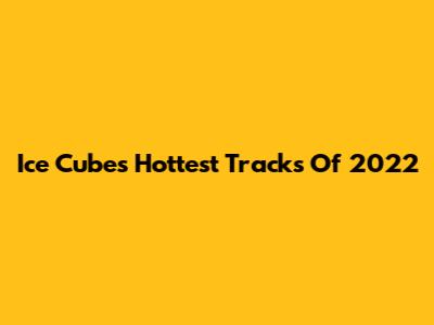 Ice Cube's Hottest Tracks Of 2022