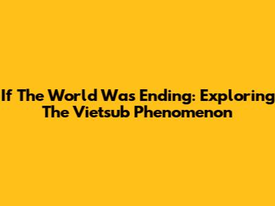 If The World Was Ending: Exploring The Vietsub Phenomenon