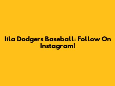 Iila Dodgers Baseball: Follow On Instagram!