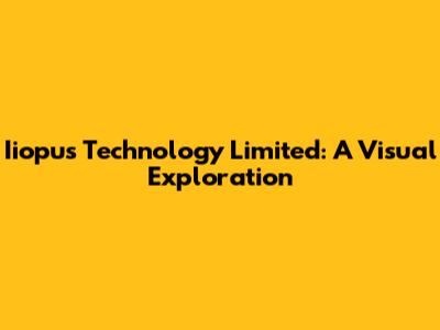 Iiopus Technology Limited: A Visual Exploration