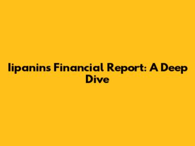 Iipanin's Financial Report: A Deep Dive