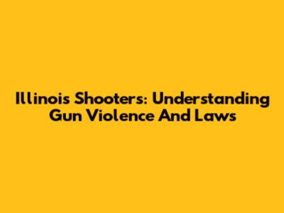 Illinois Shooters: Understanding Gun Violence And Laws