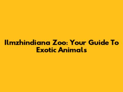 Ilmzhindiana Zoo: Your Guide To Exotic Animals