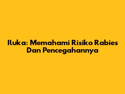 Iluka: Memahami Risiko Rabies Dan Pencegahannya