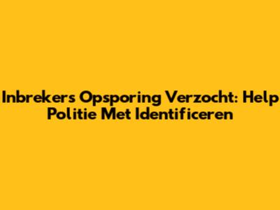 Inbrekers Opsporing Verzocht: Help Politie Met Identificeren