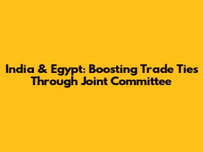 India & Egypt: Boosting Trade Ties Through Joint Committee