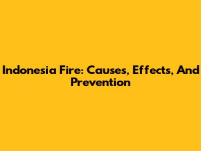 Indonesia Fire: Causes, Effects, And Prevention