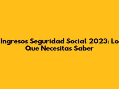 Ingresos Seguridad Social 2023: Lo Que Necesitas Saber