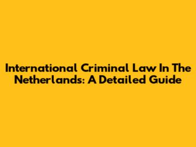 International Criminal Law In The Netherlands: A Detailed Guide