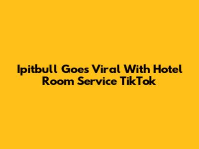 Ipitbull Goes Viral With Hotel Room Service TikTok