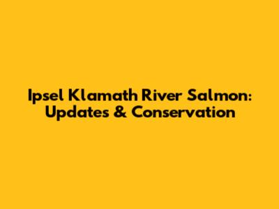Ipsel Klamath River Salmon: Updates & Conservation