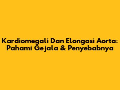 Kardiomegali Dan Elongasi Aorta: Pahami Gejala & Penyebabnya