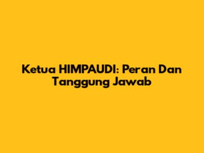 Ketua HIMPAUDI: Peran Dan Tanggung Jawab