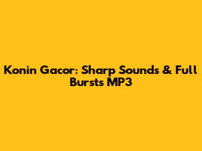 Konin Gacor: Sharp Sounds & Full Bursts MP3