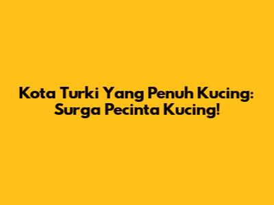 Kota Turki Yang Penuh Kucing: Surga Pecinta Kucing!
