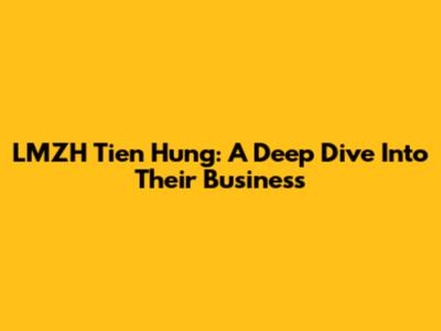 LMZH Tien Hung: A Deep Dive Into Their Business