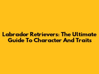 Labrador Retrievers: The Ultimate Guide To Character And Traits