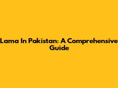 Lama In Pakistan: A Comprehensive Guide