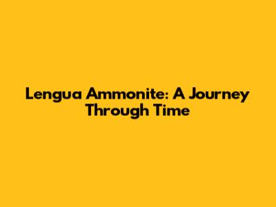 Lengua Ammonite: A Journey Through Time