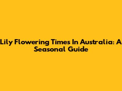 Lily Flowering Times In Australia: A Seasonal Guide