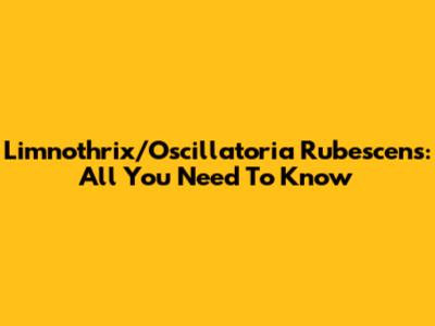 Limnothrix/Oscillatoria Rubescens: All You Need To Know