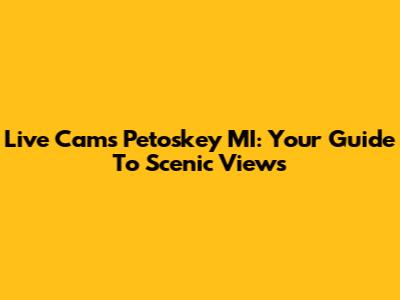 Live Cams Petoskey MI: Your Guide To Scenic Views