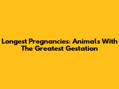 Longest Pregnancies: Animals With The Greatest Gestation