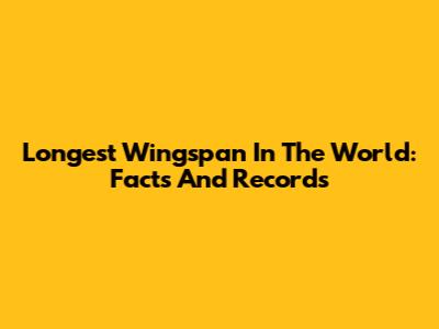 Longest Wingspan In The World: Facts And Records