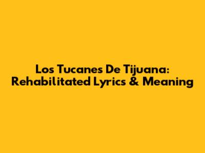 Los Tucanes De Tijuana: Rehabilitated Lyrics & Meaning