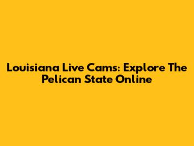 Louisiana Live Cams: Explore The Pelican State Online