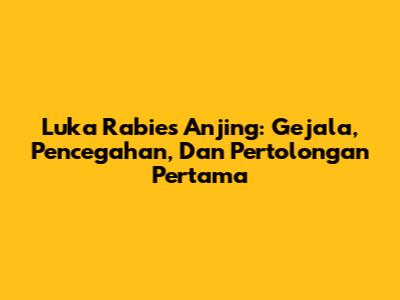 Luka Rabies Anjing: Gejala, Pencegahan, Dan Pertolongan Pertama