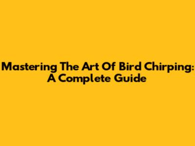 Mastering The Art Of Bird Chirping: A Complete Guide