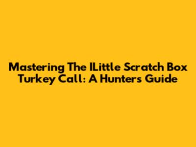 Mastering The ILittle Scratch Box Turkey Call: A Hunter's Guide