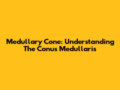 Medullary Cone: Understanding The Conus Medullaris