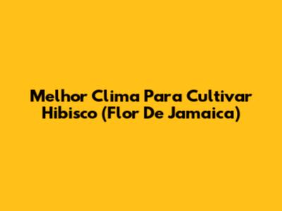 Melhor Clima Para Cultivar Hibisco (Flor De Jamaica)