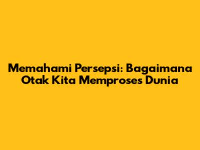 Memahami Persepsi: Bagaimana Otak Kita Memproses Dunia