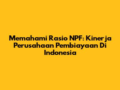 Memahami Rasio NPF: Kinerja Perusahaan Pembiayaan Di Indonesia