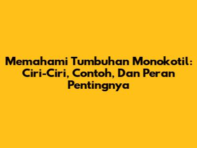 Memahami Tumbuhan Monokotil: Ciri-Ciri, Contoh, Dan Peran Pentingnya