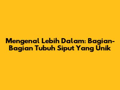 Mengenal Lebih Dalam: Bagian-Bagian Tubuh Siput Yang Unik