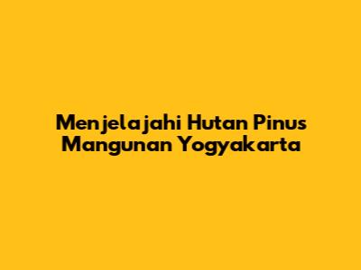 Menjelajahi Hutan Pinus Mangunan Yogyakarta